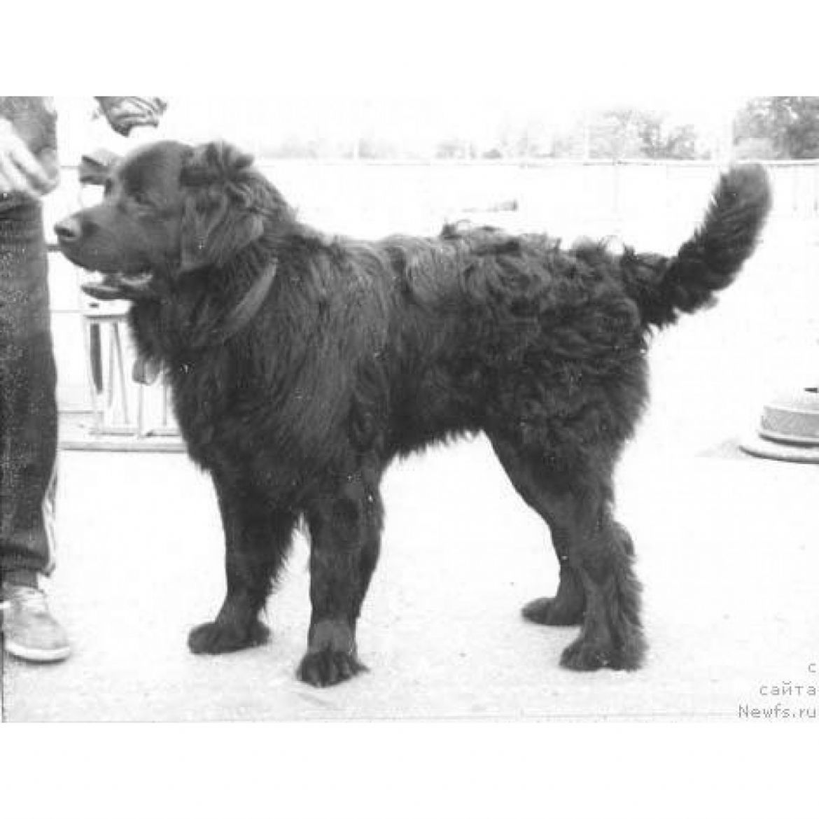 R Oven Molliden (01-01-1987)